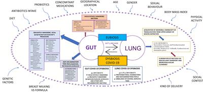 Gut and airway microbiota dysbiosis and their role in COVID-19 and long-COVID